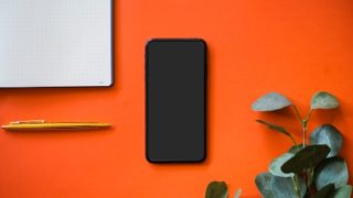 JICA・タンザニア国 歳入庁 人事育成近代化/リスクベースアプローチに基づく税務調査能力強化プロジェクト詳細計画調査に従事します